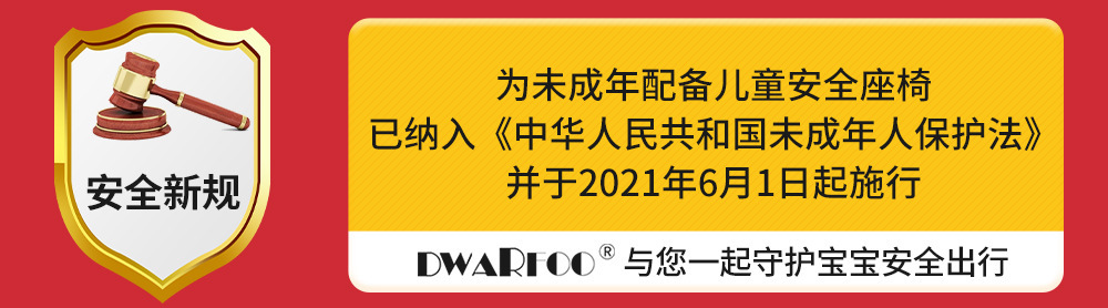 German Dwarfoo Kids Safety Seat for Cars, Suitable for Infants and Babies from 0 to 12 Years Old, Portable Seat and Recliner