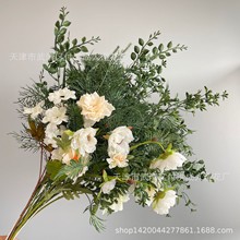 ���滨���Ż��Gɫɭϵ��c�b�·�����Ż�Y��T̨�������üٻ�