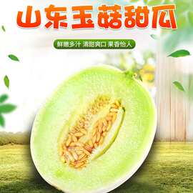 【爆甜】山东玉菇甜瓜 代发3/5斤当季新鲜水果冰淇淋蜜瓜哈密瓜