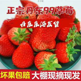 ���|�ž�ݮ���r����|�ۼt�99ݮһ����ˮ��ţ��ݮԴ���S���l