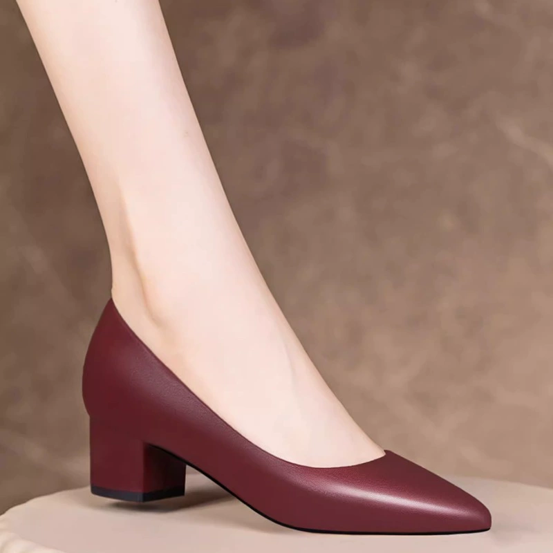 2023 Весна и осень Новые однослойные туфли на массивном каблуке Женские Большие размеры на низком каблуке винно-красный с острым носком на мелком каблуке миди