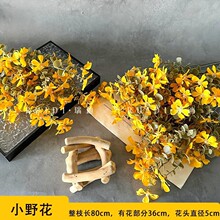 ��3DСҰ����֧�廨�Ҿӿ͏d�b�Y��������ٻ���c���滨