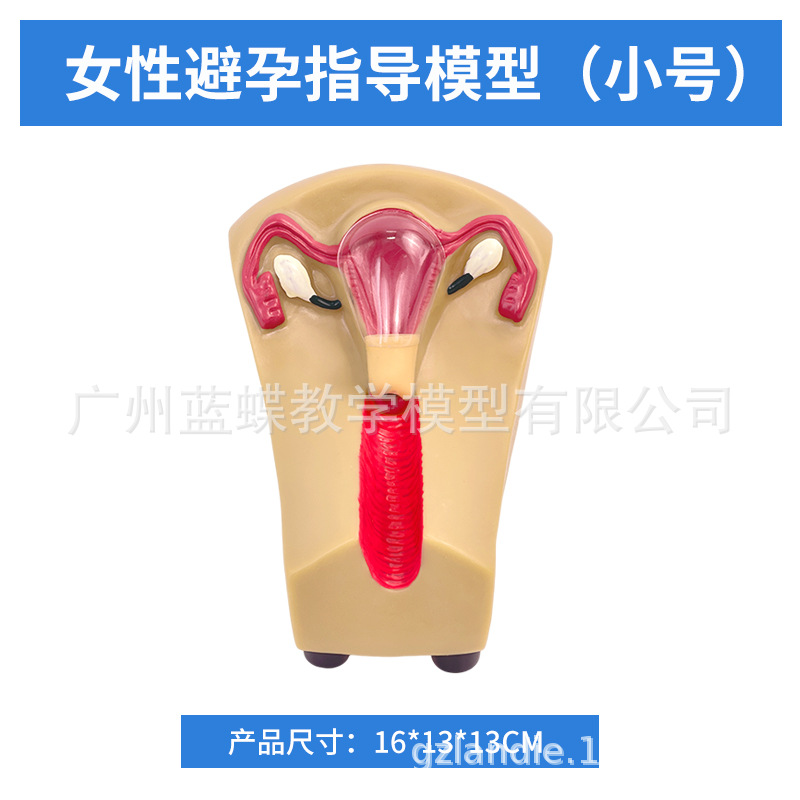 ��ѧŮ����ֳ�����ӹ��������ѳ� ����ָ��ģ�� �ƻ��������Ƽ��