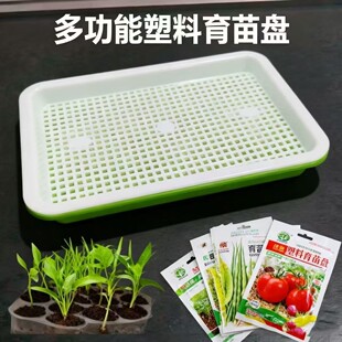 ˮ��W��Pѿ�������P�̨�N�����߲˶�ѿˮ���бP�����㶹С��