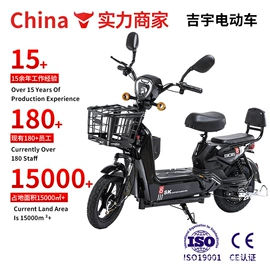 其他电动车;电动三轮车;电动自行车