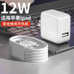 适用苹果ipad充电器头mini5/Air/2/3/4/6/8ipad平板充电数据线