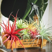 �՚��P�� �����՚�o������ֲ��o��ˮ��������B��һ��Ҳ���l