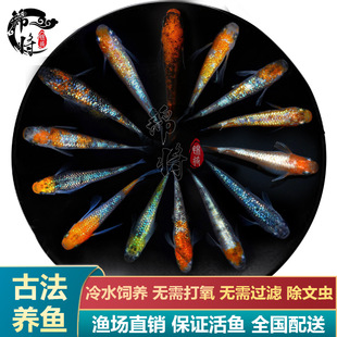 �^�����F�ǹ��~�ѵ�ˮ��ˮ�~С���^�p�~���B���~�粻����ιʳ���]