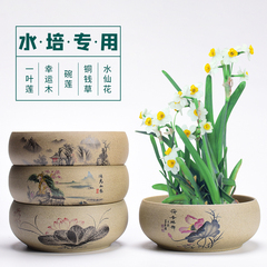 水仙花盆陶瓷大號家用銅錢草專用一葉蓮碗蓮盆多肉水培睡蓮盆缸榕