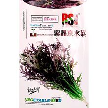 �Ͼ���ˮ�˷N���ļ�����S�a������ɫ�߲˷N����ˮ���˷N�Ӹ߮a