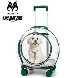 猫猫包、箱;狗狗包、箱;鸟笼