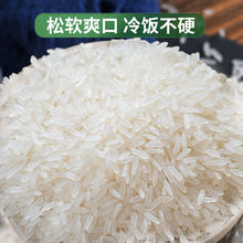 2022年新米滿庭月大米2.5kg真空裝廣西上林絲苗米大米批發價優質