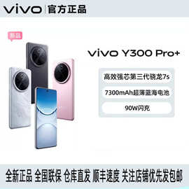 viv'o Y300 Pro+ 全网通智能5G手机 7300mAh电池90W闪充大内