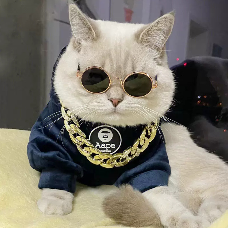 Accesorios para gatos para mascotas, gafas pequeñas, personalidad encantadora, vestido para fotos, gafas de sol para gatos, gafas para gatos