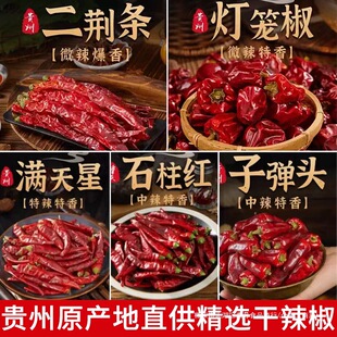 �F�����x���خa΢�����\�����G�l����������ʯ���t��������������