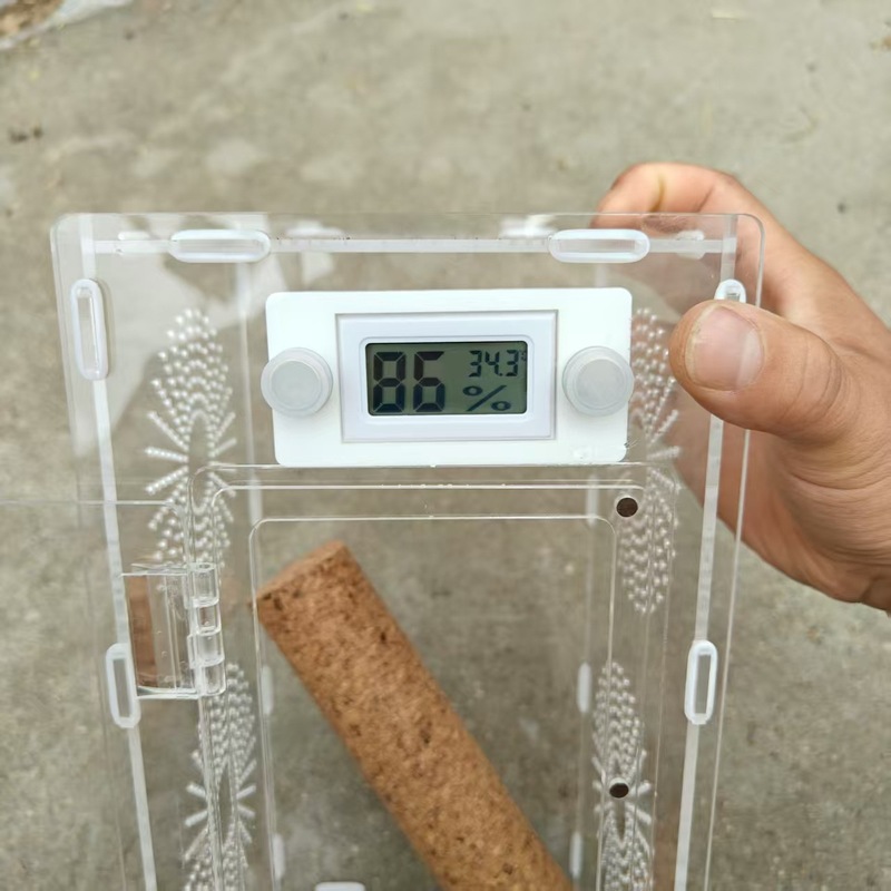 爬虫類ミニ温湿度計爬虫類箱蜘蛛箱飼育箱温湿度計陸亀守宮サソリ|undefined