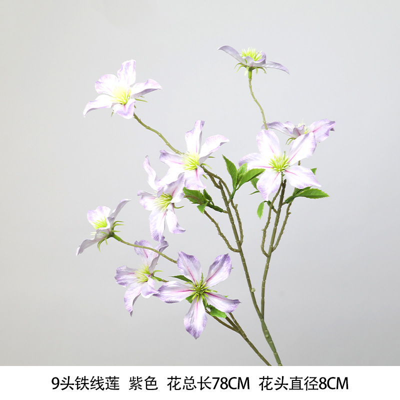 9 클레마티스(새로운 스타일)