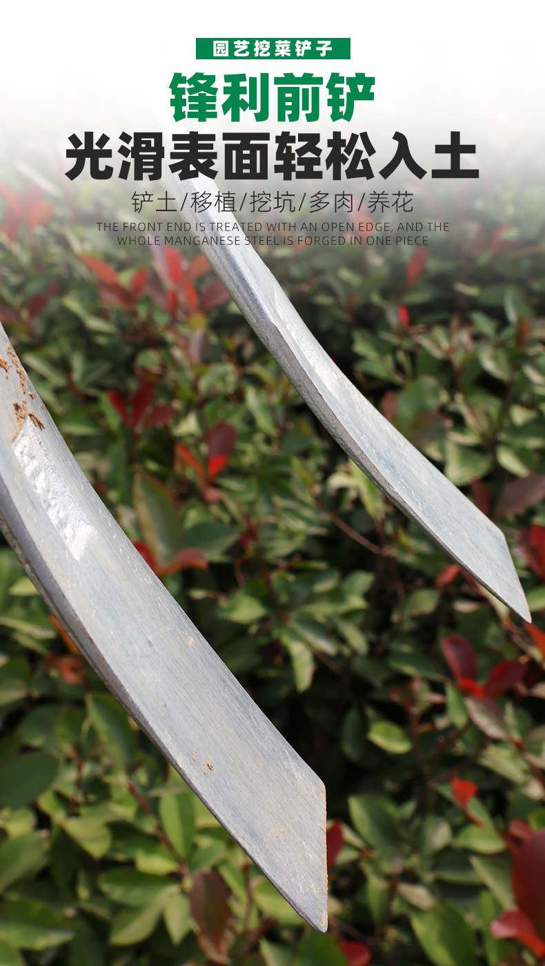 O1CN01ud5f7I1av7x3NSfUM_!!2216