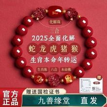 2026�R����ɰ�����������ʮ����Ф�D�\�������ͶY��