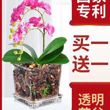 ��͸����������m�����Ϸ���ˮ̦���׿׿ظ�͸��������愓��