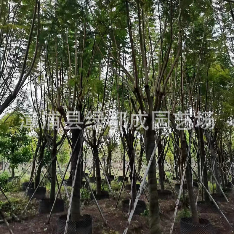 发布供应商品 - 1688.com 全球领先的采购批发平台