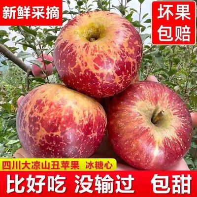[Trade price]Liangshan Apple Daliangshan Rock sugar Red Fuji fresh fruit 10 Wholesale pounds