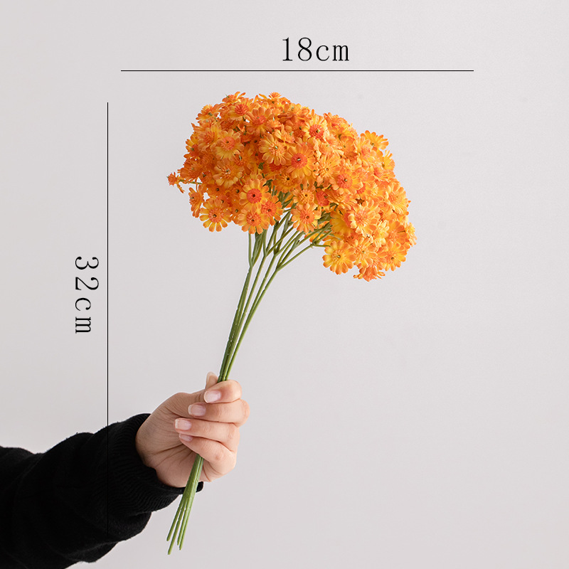 별 다발 데이지 (오렌지)