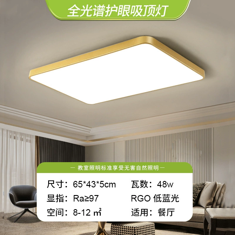 Golden LED ceiling light, lights for corridor, room light, light luxury style