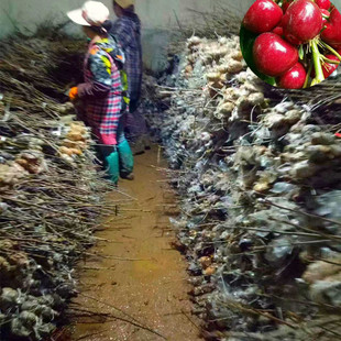 ������觼t���Ҙ� �����m����� ���]�޽����Ϸ��Nֲ���ҹ���ֱ�N