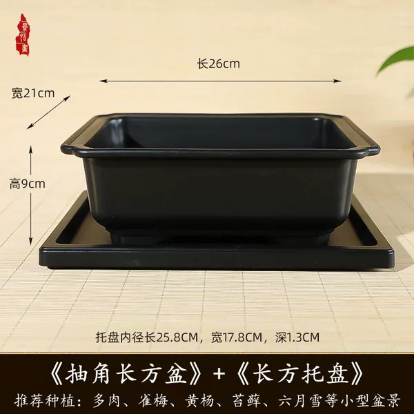 Rectangular, 26cm, 21cm, 9cm