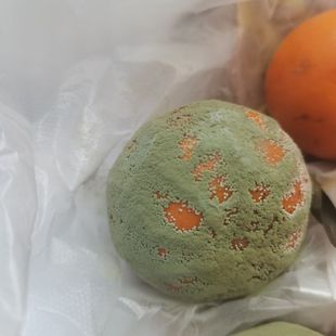 �lù�ָ�,ע�ⰲȫ,����ʳ��,�m���t�W��������á��ϙ��������