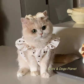 猫咪衣服春夏吊带连衣裙狗狗公主裙薄款背心防掉毛宠物金渐层布偶