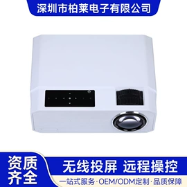 投影仪;投影仪;其他办公设备