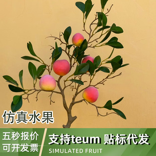 ���滨ˮ����������ʯ��ٻ�������ˮ��֦�b��L�U��֦�廨�[��