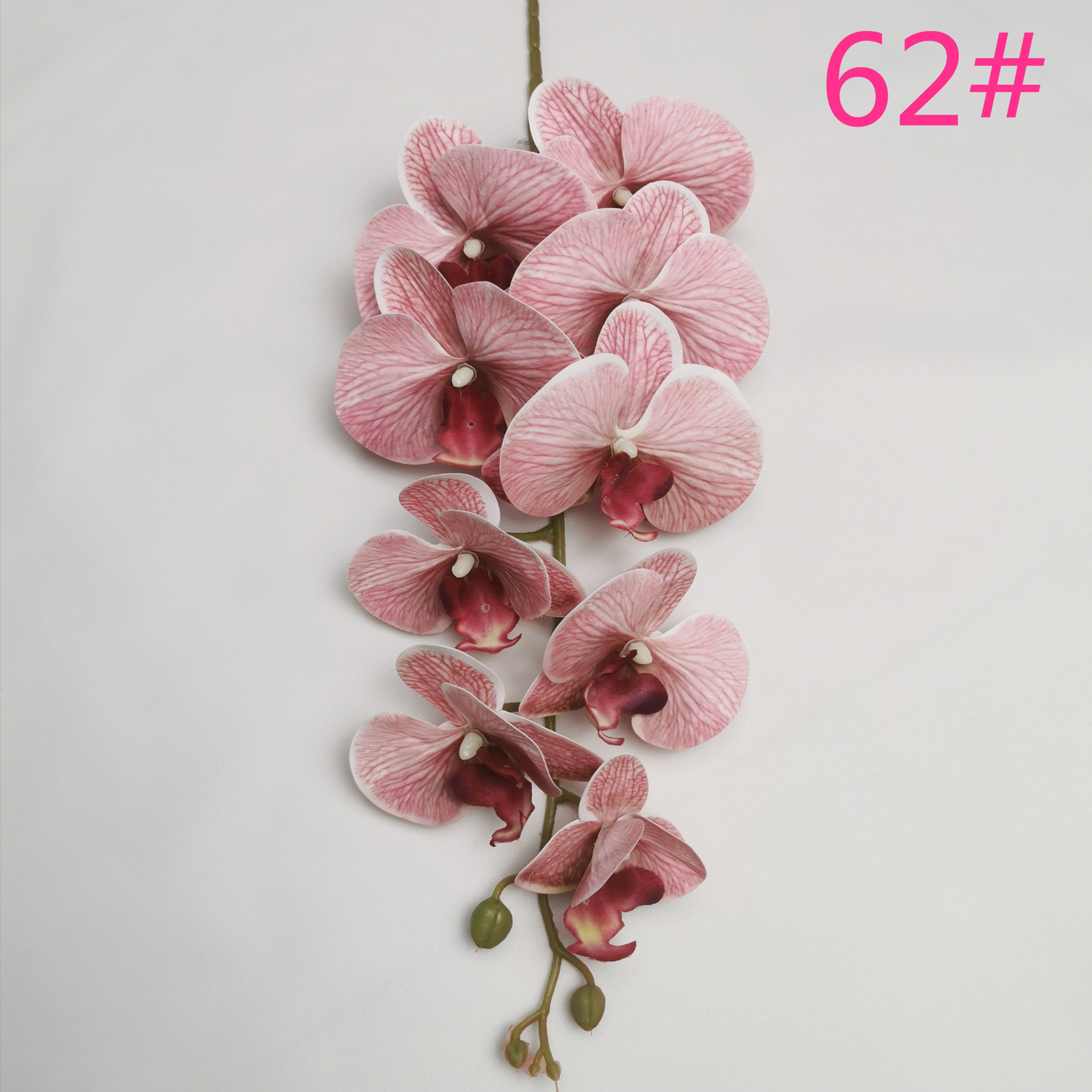 IMG_20220531_180534_副本