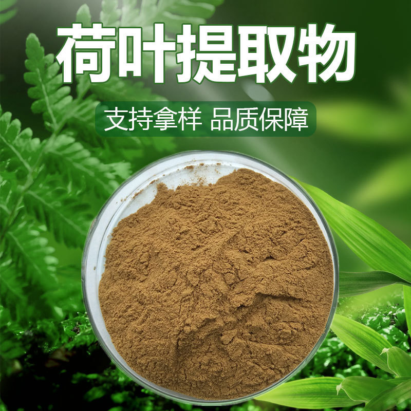 Lotus Leaf Extract, Lotus Leaf Extract Powder, Proportional Extract in Various Specifications, Water-Soluble Food-Grade Raw Materials in Stock Lotus Leaf Extract, Lotus Leaf Extract Powder, Proportional Extract in Various Specifications, Water-Soluble Food-Grade Raw Materials in Stock