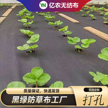 ���PP��ɫ�o����͸ˮ͸�Ᵽ�񱣷ʿ�˺���r�õ�Ĥ�S��ֱ��