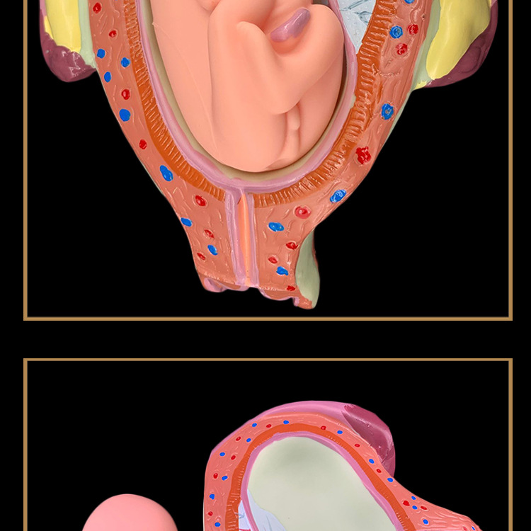 O1CN01zNX95g2Kk6XkDfDlP_!!3578
