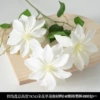 Iron wire lotus white