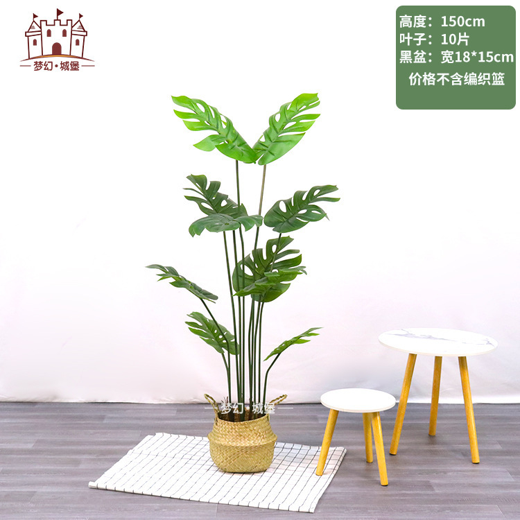 Simulación de plantación verde de plátano de bambú de tortuga grande planta de plantación de ventana interior diseño de ángulo de planta de árbol falso paisajístico