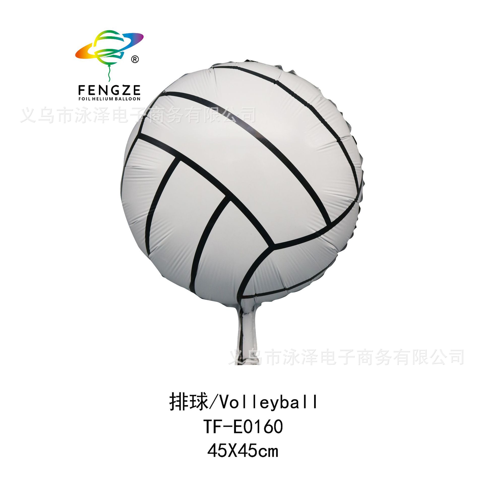 TF-E0160 排球.JPG