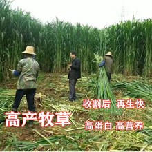 MKݷN~ݷNι~iţuZļ߮aѸߵ