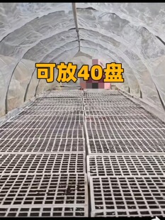 ����С���r��������A�P�����߲˱��ز��矟�~���÷����¿� ȫ��