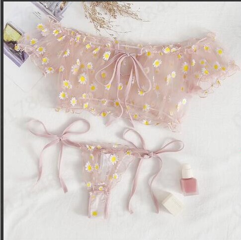New European and American Style Lingerie, Sexy Lace Embroidered Bustier, Two-Piece Bikini Set, Sleepwear Wholesale