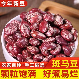 ���r�������R���I�������ɰ����t���r���Ԯa��؛�������s�Z�ּZ