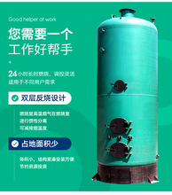 立式反燒燃煤鍋爐大棚養菌養殖立式常壓工業小型采暖熱水燃煤鍋爐