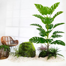 ���R�d�߼��п羳����Gֲ���ͷ���ֲ���������ѿ��~�٘�����b�