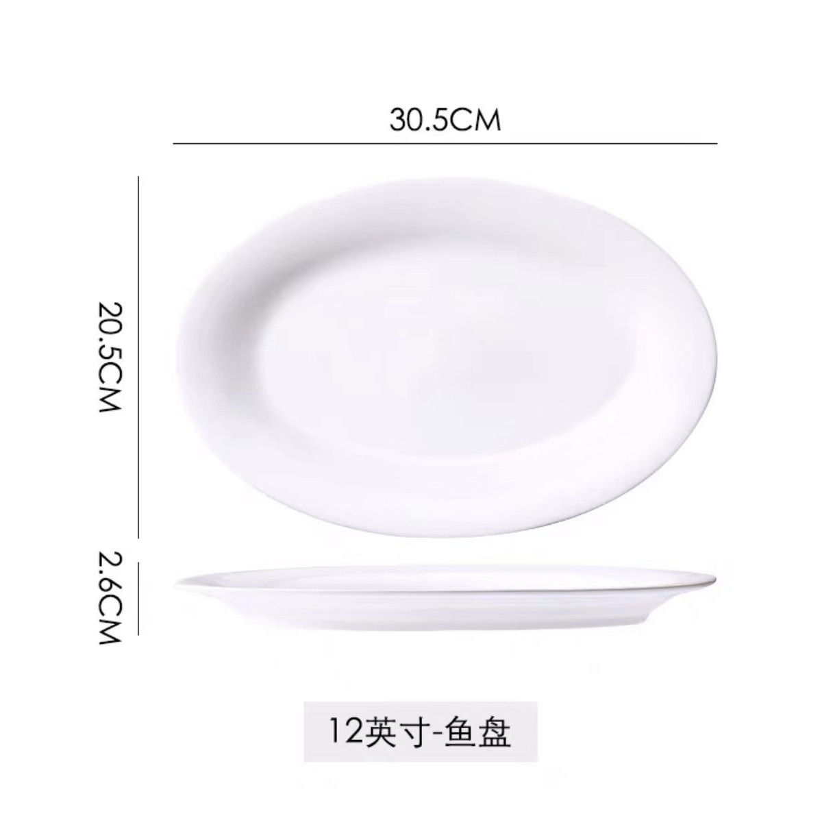 12 인치 생선 접시