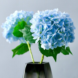 �����и߼��д���176Ƭ���滨 ��c��Ʒ�͏d�����b����[��