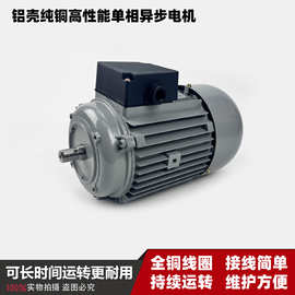 原装YC8032旋片式包装机真空泵单电容专用电机900W双头吸奶器电机